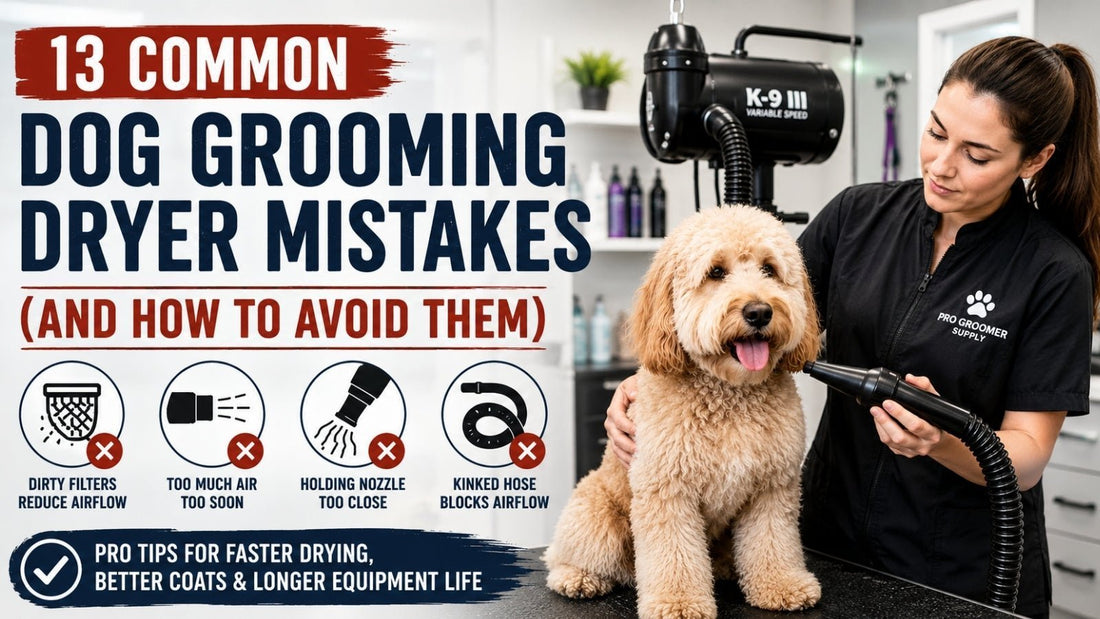 13 Common Dog Grooming Dryer Mistakes (and How to Avoid Them) - Pro Groomer Supply