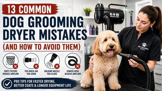 13 Common Dog Grooming Dryer Mistakes (and How to Avoid Them) - Pro Groomer Supply