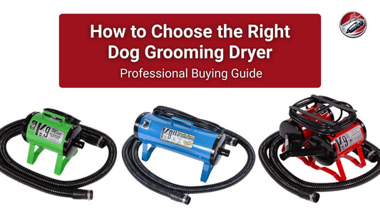 How to Choose the Right Dog Grooming Dryer - Pro Groomer Supply